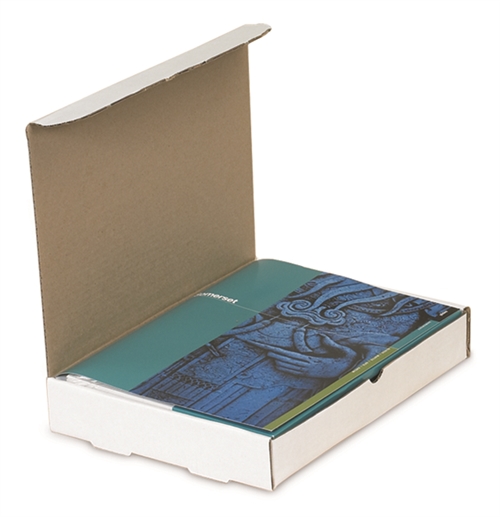 Protective Literature Mailers
