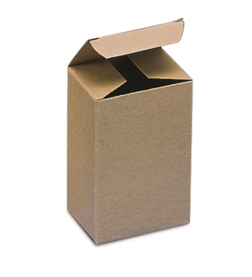 Kraft Reverse Tuck Folding Cartons