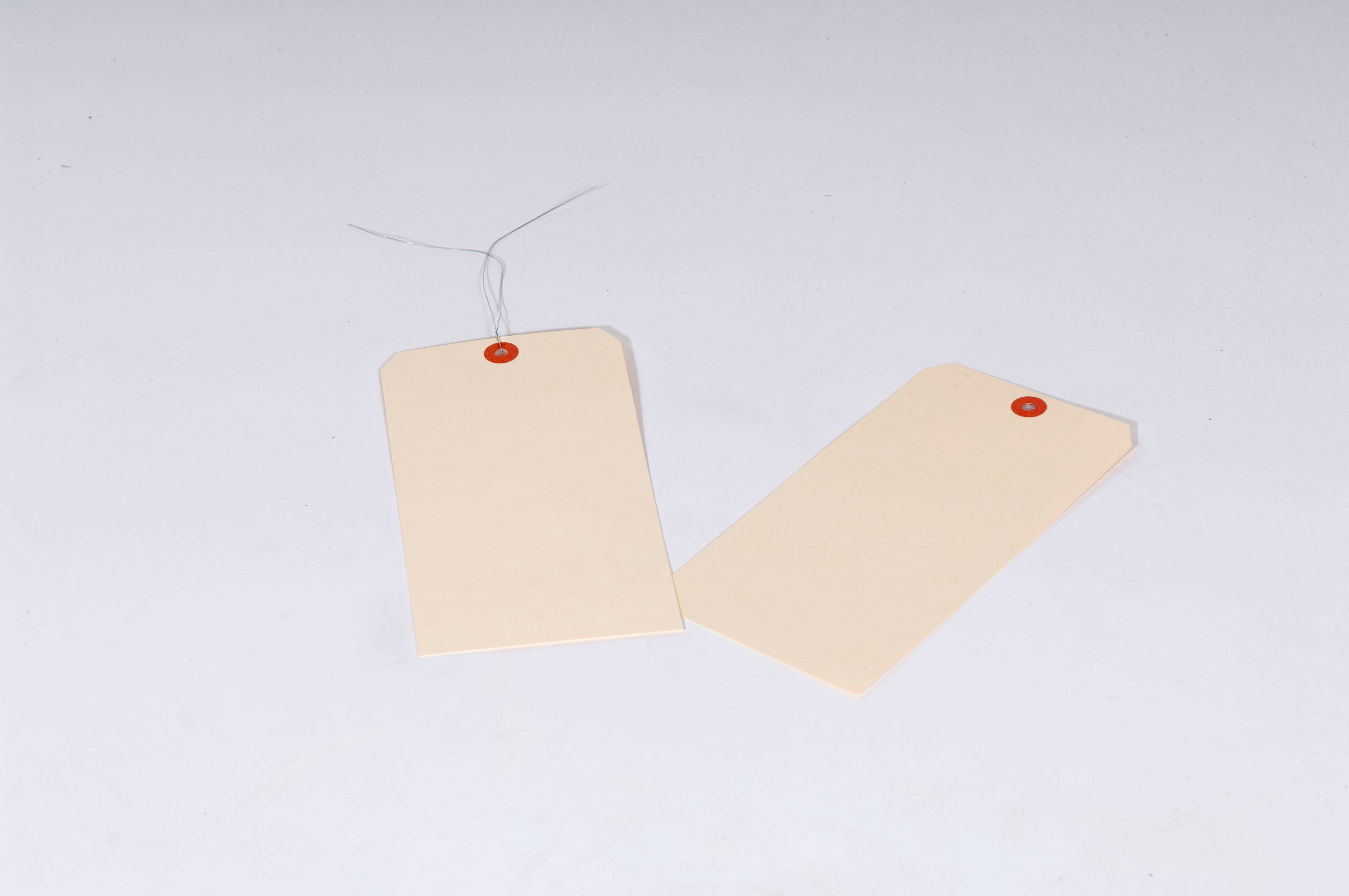 10 Point Manila Tags